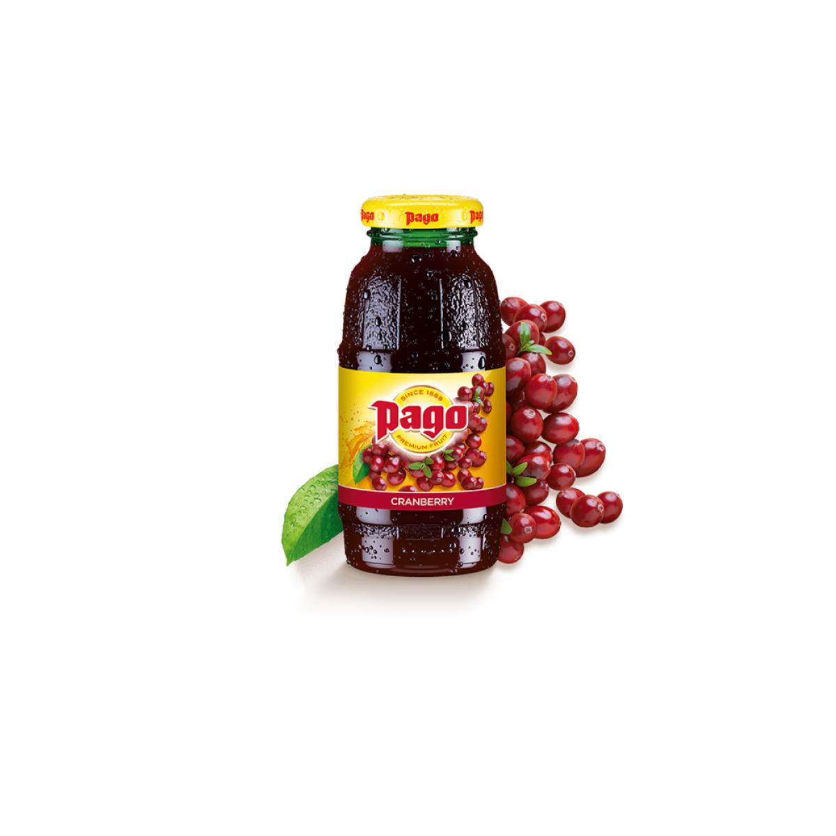 "PAGO" CRANBERRY 200ml (12pcs)