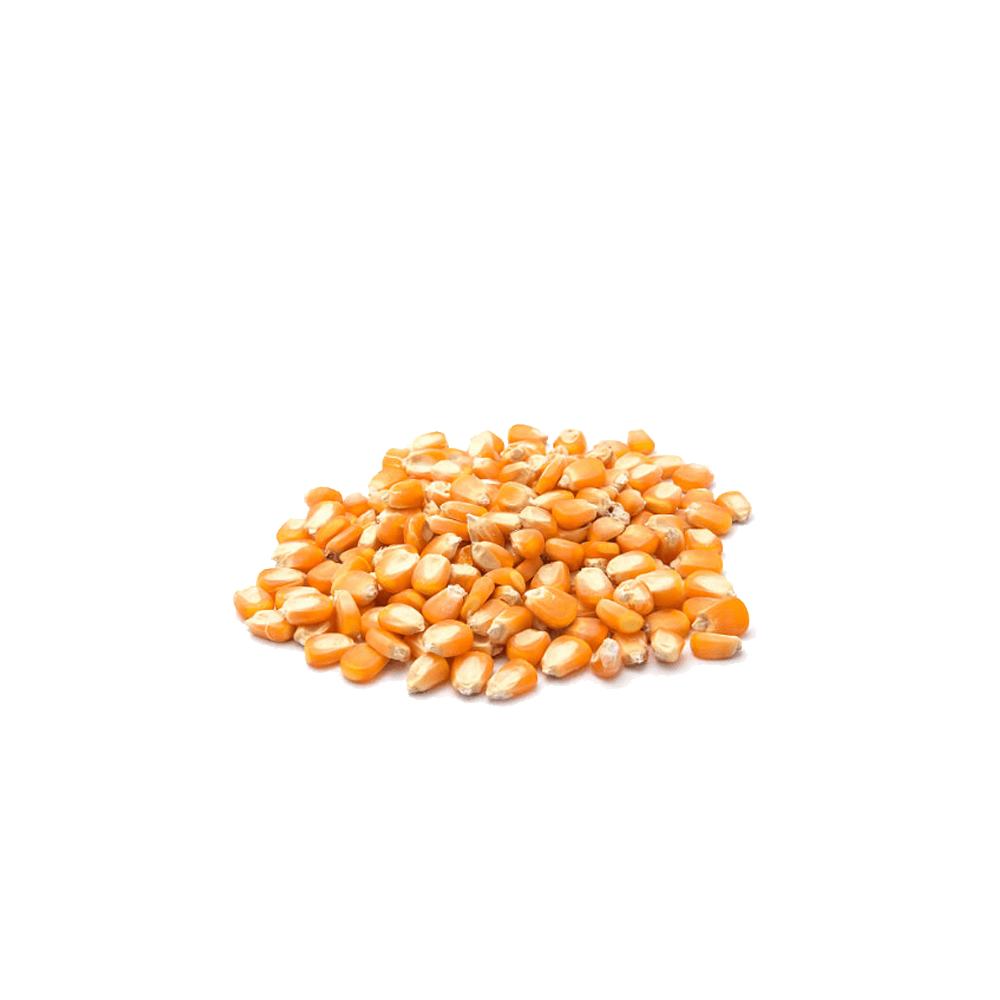 10-001 ΚΑΛΑΜΠΟΚΙ (ΩΜΟ) 25Κgr - Image 1