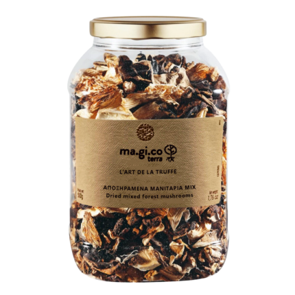 ΜΑΝΙΤΑΡΙΑ ΑΠΟΞΗΡΑΜΕΝΑ MIX FOREST "ma.gi.co" 500gr
